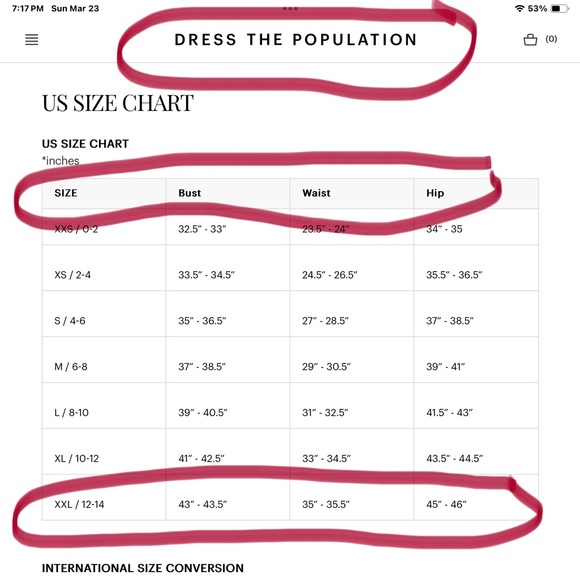 Dress The Population Audrey Dress - Picture 11 of 11